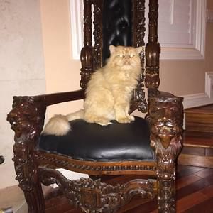 Meet your Posher, Payam